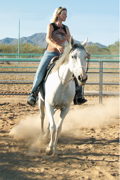 horse